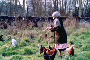 Agns nourrit les poules - Antoine Meunier, 2002