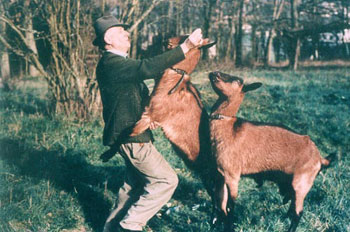 Sente de la chèvre qui bâille : Qui de la chèvre ou du chevrier mène la danse ? - Antoine Meunier, 1993 Sente de la chèvre qui bâille : Qui de la chèvre ou du chevrier mène la danse ? - Antoine Meunier, 1993