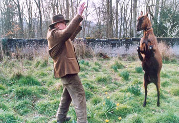 Sente de la chèvre qui bâille : Le Rite, Jean et Pquerette - Antoine Meunier, 2003