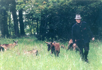 Sente de la chèvre qui bâille : Ore du bois, chappe de Touraine, Roussette et leurs cabris - Antoine Meunier, 1991