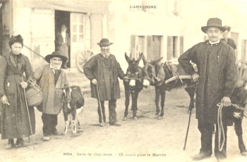 La vache et le cheval du pauvre - collection Dr Cornelis Naaktgeboren