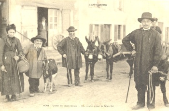 La vache et le cheval du pauvre - collection Dr Cornelis Naaktgeboren La vache et le cheval du pauvre - collection Dr Cornelis Naaktgeboren